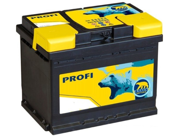 Автомобильный аккумулятор Baren Profi 7905684 (60 А·ч)