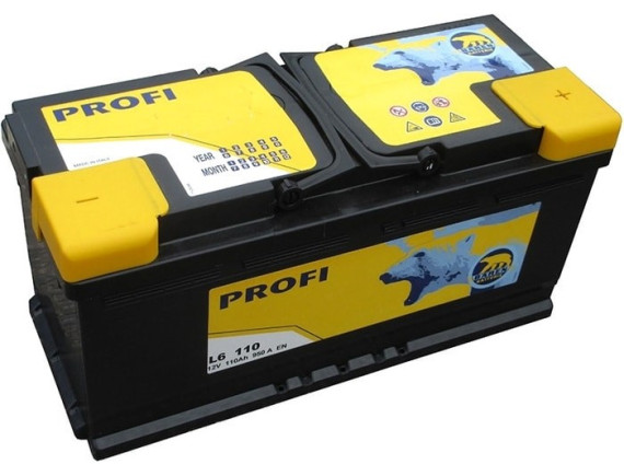 Автомобильный аккумулятор Baren Profi 7905701 (110 А·ч)
