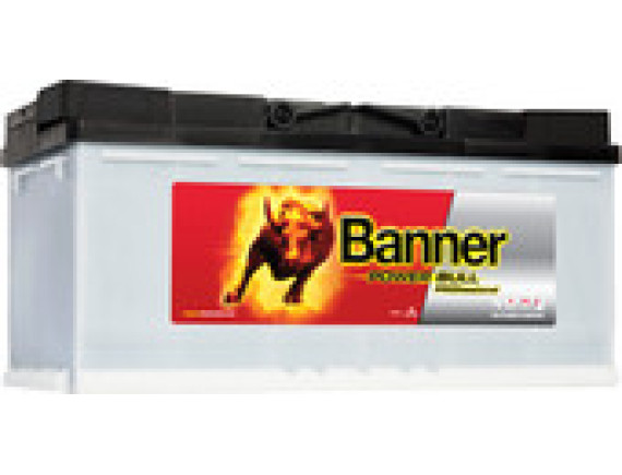 Автомобильный аккумулятор Banner Power Bull PROfessional P100 40 (100 А/ч)