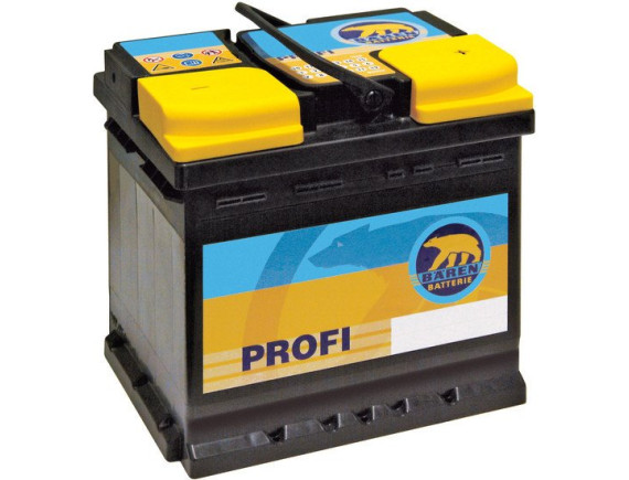Автомобильный аккумулятор Baren Profi 595 150 076 (95 А/ч)